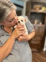 processed/286fdf17-c85c-4ff0-bfb3-576b887f7acc/facility/7aad52a3-3880-4a12-9c69-39adf3b3e4b0