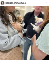 processed/286fdf17-c85c-4ff0-bfb3-576b887f7acc/facility/9dea8d54-9743-4003-8628-7fc33d463533