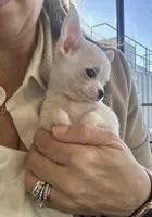 processed/286fdf17-c85c-4ff0-bfb3-576b887f7acc/facility/b3b6c0a3-5abf-40c8-9729-188221c53c16