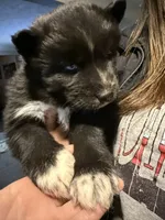 processed/28720646-8dcb-4718-bf0f-ffcbedb7c48a/listing/c9b52520-8bb2-4a9e-9034-68802e55b359/22bded27-a01f-46c0-96bd-79670642ffea