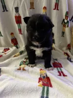 processed/28720646-8dcb-4718-bf0f-ffcbedb7c48a/listing/c9b52520-8bb2-4a9e-9034-68802e55b359/2350bfe8-8e42-4f2c-8e1e-55fd32f49852