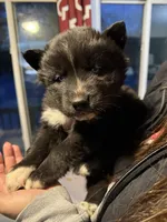 processed/28720646-8dcb-4718-bf0f-ffcbedb7c48a/listing/c9b52520-8bb2-4a9e-9034-68802e55b359/75dfed5d-ee80-4817-812e-a3fdad88d00f