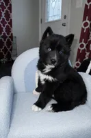 processed/28720646-8dcb-4718-bf0f-ffcbedb7c48a/listing/c9b52520-8bb2-4a9e-9034-68802e55b359/b79dd87a-2b4f-4d97-ae3c-da1c96cabe9d