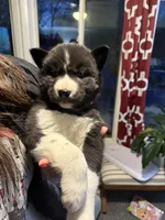 processed/28720646-8dcb-4718-bf0f-ffcbedb7c48a/listing/f911c65a-9cb0-4414-a4ac-925330d77a55/1f633028-9bd9-4d48-9108-74e73e67737f