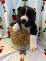 processed/28720646-8dcb-4718-bf0f-ffcbedb7c48a/listing/f911c65a-9cb0-4414-a4ac-925330d77a55/600f77ca-79de-494b-ba17-2cd9c7cfa6b6