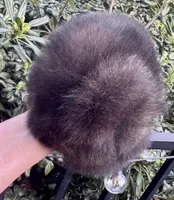 Mr Brindle, a male Pomeranian for sale in California, CA – Photo 1 of 9