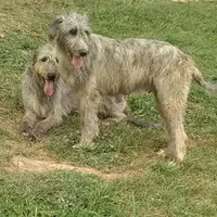 processed/28858911-dedb-4204-9523-af3065872023/facility/1813ffc5-12a0-4170-97dd-0c4cc2fe44ae