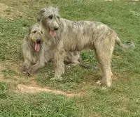 processed/28858911-dedb-4204-9523-af3065872023/facility/1813ffc5-12a0-4170-97dd-0c4cc2fe44ae