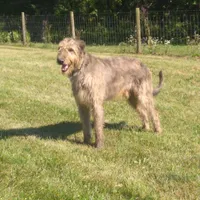 processed/28858911-dedb-4204-9523-af3065872023/facility/2ff2359d-f25b-4f85-8931-0a7e17c5ebb3