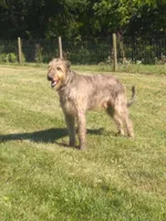 processed/28858911-dedb-4204-9523-af3065872023/facility/2ff2359d-f25b-4f85-8931-0a7e17c5ebb3