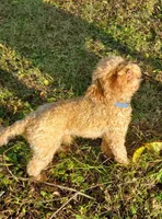 processed/28858911-dedb-4204-9523-af3065872023/facility/5bc99130-46e0-420d-8467-e6fd23c5047b