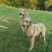 processed/28858911-dedb-4204-9523-af3065872023/facility/616a300d-dd79-4b95-ac75-b77c50948048