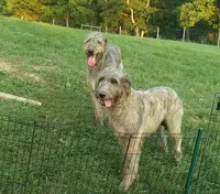 processed/28858911-dedb-4204-9523-af3065872023/facility/616a300d-dd79-4b95-ac75-b77c50948048