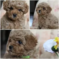 processed/28858911-dedb-4204-9523-af3065872023/facility/8b81edc7-3661-44f6-9134-70123c8e4aca