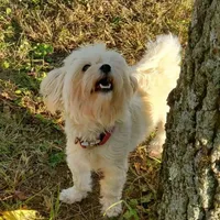 processed/28858911-dedb-4204-9523-af3065872023/facility/cfe15a10-f24a-4912-8d0e-dbbe1cc48027