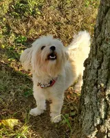 processed/28858911-dedb-4204-9523-af3065872023/facility/cfe15a10-f24a-4912-8d0e-dbbe1cc48027