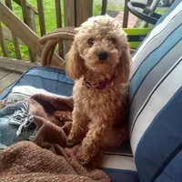 processed/28858911-dedb-4204-9523-af3065872023/facility/fc702c59-97b1-455d-99f5-9792ba5f657f