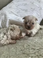 processed/28858911-dedb-4204-9523-af3065872023/listing/bea2c41d-7d8d-4bac-9083-74d48c5fab30/82d3e4c8-411b-4e08-a3db-54de311a5af9