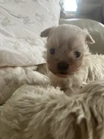 processed/28858911-dedb-4204-9523-af3065872023/listing/bea2c41d-7d8d-4bac-9083-74d48c5fab30/8e2739f0-e3c1-4240-b127-da63901c1363