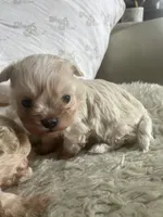 processed/28858911-dedb-4204-9523-af3065872023/listing/bea2c41d-7d8d-4bac-9083-74d48c5fab30/9ea2eeb6-1990-4cf3-b223-6c19d232ebdf