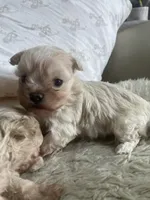 processed/28858911-dedb-4204-9523-af3065872023/listing/bea2c41d-7d8d-4bac-9083-74d48c5fab30/a1995d9c-43f0-4c43-a2b9-0e283523463a