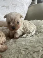 processed/28858911-dedb-4204-9523-af3065872023/listing/bea2c41d-7d8d-4bac-9083-74d48c5fab30/ecef282c-c360-475c-81dd-67118c3e8db7