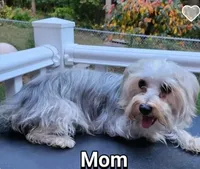 processed/28962f44-50f4-4fde-be40-d834a3aa4a27/listing/96b9bbf1-7633-4fca-a703-e2d0c6213b1c/79ade00f-9d6b-4b29-aacd-7740ed2451e0