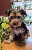 processed/28962f44-50f4-4fde-be40-d834a3aa4a27/listing/96b9bbf1-7633-4fca-a703-e2d0c6213b1c/7e00c8d1-9a71-4350-9aba-2ce7366e95dd