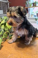 processed/28962f44-50f4-4fde-be40-d834a3aa4a27/listing/96b9bbf1-7633-4fca-a703-e2d0c6213b1c/f24223e9-326e-403d-81d7-30cead25915b