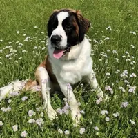 processed/28978e14-6727-4ff2-8cb8-0859ec36df3b/facility/2fdcd9c3-cd40-41cc-96d0-5429bd2a2edb