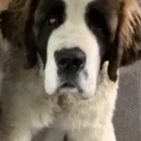 processed/28978e14-6727-4ff2-8cb8-0859ec36df3b/facility/4232208a-25df-424e-a9cc-29027a4486a9