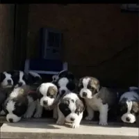 processed/28978e14-6727-4ff2-8cb8-0859ec36df3b/facility/45f92d32-d18d-4973-88a0-d9a211103457