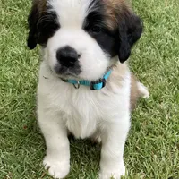 processed/28978e14-6727-4ff2-8cb8-0859ec36df3b/facility/66c6f4f6-68c9-497f-b5a5-c50f086f6e77