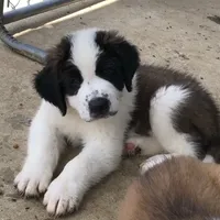 processed/28978e14-6727-4ff2-8cb8-0859ec36df3b/facility/b802f296-a5b8-43d8-beaf-2c9c74719393