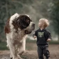 processed/28978e14-6727-4ff2-8cb8-0859ec36df3b/facility/cb4e5a17-a08b-430e-9ce5-fda98cef8382