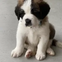 processed/28978e14-6727-4ff2-8cb8-0859ec36df3b/facility/df17398b-1ae1-4939-8616-7c1e39cbf465