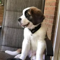 processed/28978e14-6727-4ff2-8cb8-0859ec36df3b/facility/e549bf91-9eba-45c7-abd6-4bb380a3d59a