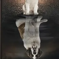 processed/28978e14-6727-4ff2-8cb8-0859ec36df3b/facility/ecc6e225-8d43-4f7b-8802-02b5c0b366a2