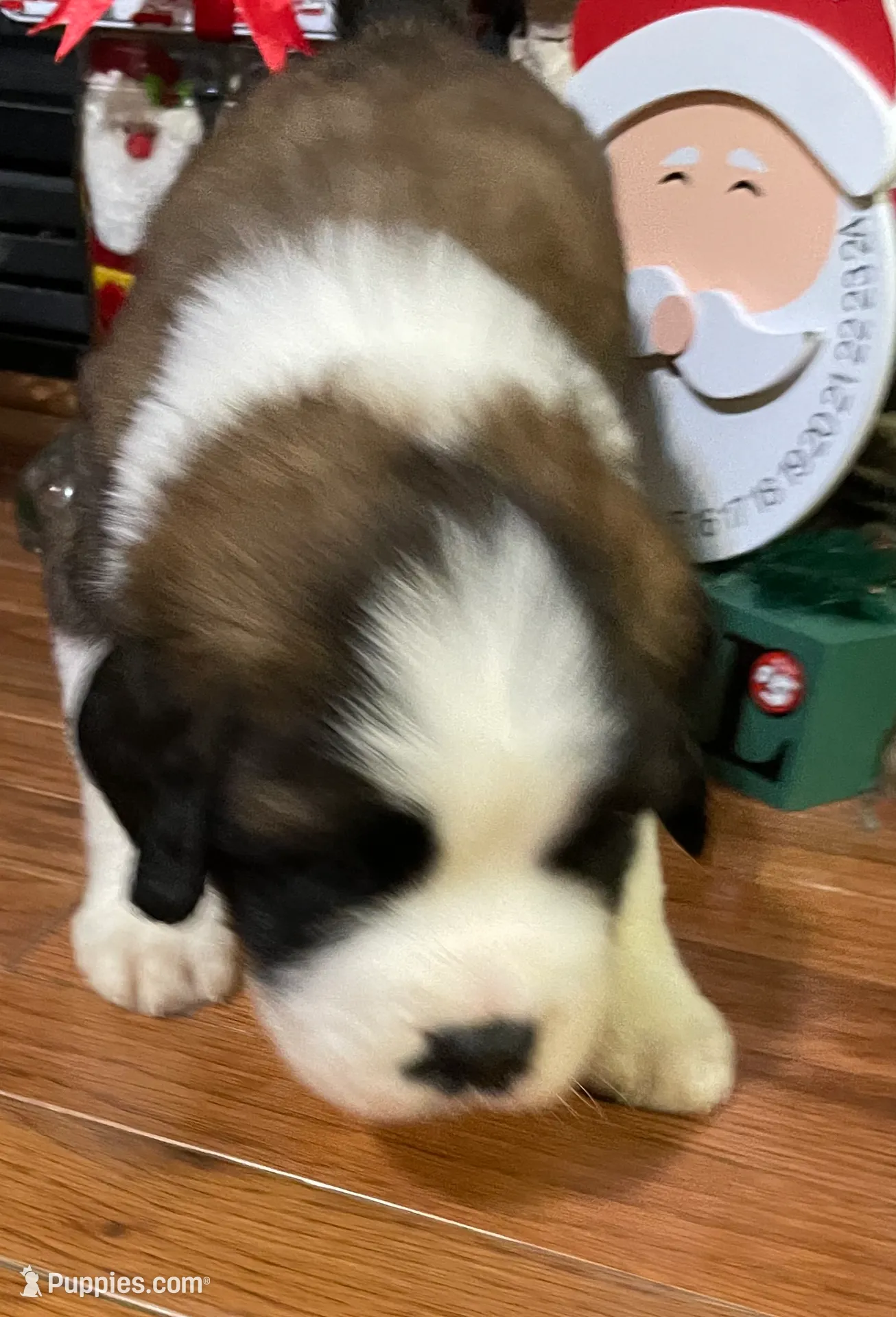 processed/28978e14-6727-4ff2-8cb8-0859ec36df3b/listing/e6f119f8-2ab1-4b79-bdb5-039aaa084452/4beb2407-01ec-41e9-8a41-6c1fb33840d8