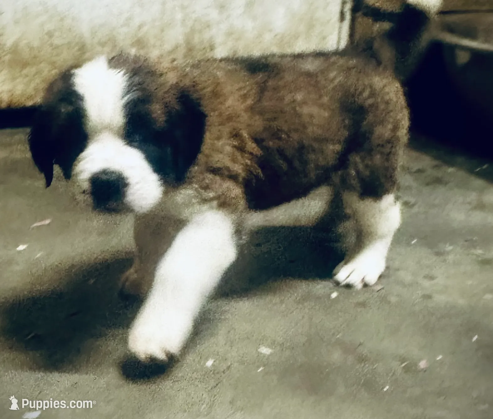 processed/28978e14-6727-4ff2-8cb8-0859ec36df3b/listing/e6f119f8-2ab1-4b79-bdb5-039aaa084452/cb2ea6a7-4d40-4abc-8062-ac9ef311fa50