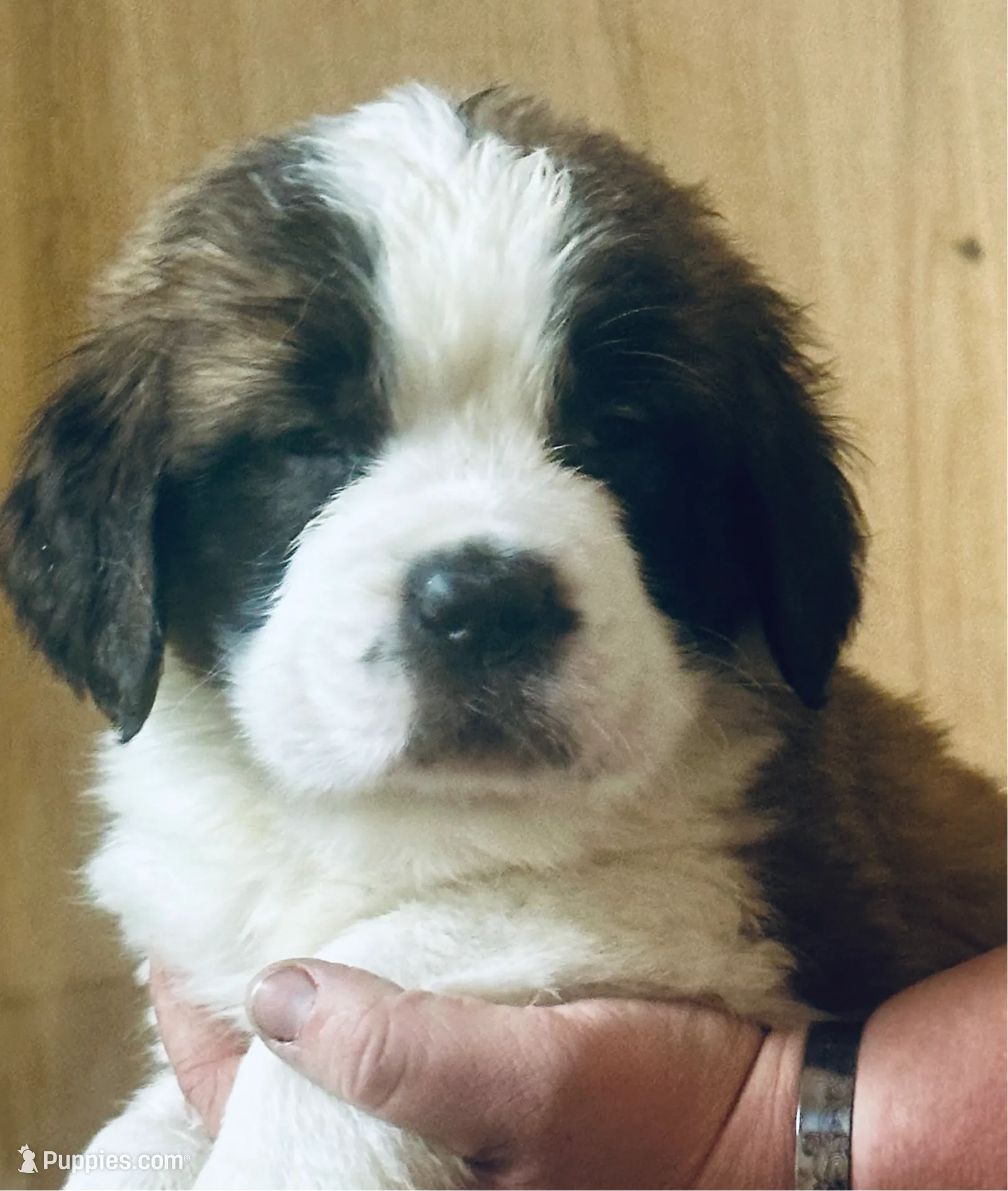 processed/28978e14-6727-4ff2-8cb8-0859ec36df3b/listing/e6f119f8-2ab1-4b79-bdb5-039aaa084452/d3d7cfe3-f84a-435d-a5a9-e42b2b1e99e0