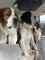 processed/28978e14-6727-4ff2-8cb8-0859ec36df3b/listing/f2050086-1c20-4893-b622-260b90a4e997/eb079a65-7965-496b-9029-b6acc83eca00