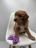 processed/28997156-e7e8-4771-a6c1-a7e8fa64bb2f/listing/7ba8b841-9d5d-49fe-ae48-e204449dd247/1dfbf1db-f352-4f0b-8e48-9f8b6d2f354f