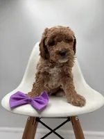 processed/28997156-e7e8-4771-a6c1-a7e8fa64bb2f/listing/7ba8b841-9d5d-49fe-ae48-e204449dd247/4f201557-f3fa-4e3c-b1c3-b3e2a8174d97