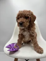 processed/28997156-e7e8-4771-a6c1-a7e8fa64bb2f/listing/7ba8b841-9d5d-49fe-ae48-e204449dd247/4ff28935-1918-47b5-b08e-ed7e4d7eb96b