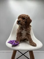 processed/28997156-e7e8-4771-a6c1-a7e8fa64bb2f/listing/7ba8b841-9d5d-49fe-ae48-e204449dd247/65aa04b3-3074-4db1-a99b-05127cd45d5c