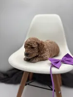 processed/28997156-e7e8-4771-a6c1-a7e8fa64bb2f/listing/7ba8b841-9d5d-49fe-ae48-e204449dd247/a8a1980b-d4be-4a6e-b8af-d93e585e0e39