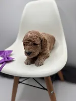 processed/28997156-e7e8-4771-a6c1-a7e8fa64bb2f/listing/7ba8b841-9d5d-49fe-ae48-e204449dd247/c5a8b72b-b4d3-44d5-a239-2d748123cd53