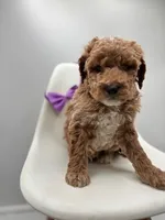 processed/28997156-e7e8-4771-a6c1-a7e8fa64bb2f/listing/7ba8b841-9d5d-49fe-ae48-e204449dd247/e2f1e76a-0cb6-4116-9c07-8365f2474b1f