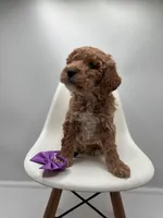 processed/28997156-e7e8-4771-a6c1-a7e8fa64bb2f/listing/7ba8b841-9d5d-49fe-ae48-e204449dd247/f2d7e2c3-0b02-41bf-9ff4-66f36e2476b8